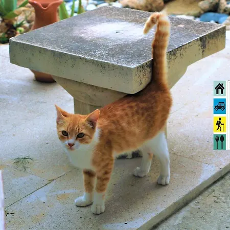 Isminis Petroktisto Holidays Stonehouse Apartamento
