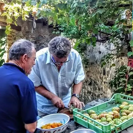 Isminis Petroktisto Holidays Stonehouse * Palechori