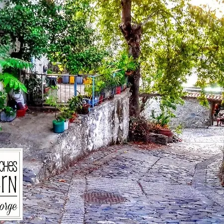 Isminis Petroktisto