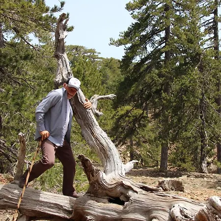 Isminis Petroktisto Holidays Stonehouse