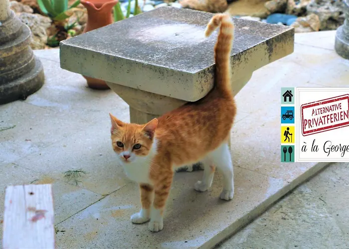 Isminis Petroktisto Holidays Stonehouse アパート