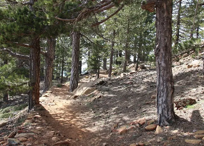 Isminis Petroktisto Holidays Stonehouse Апартаменты *