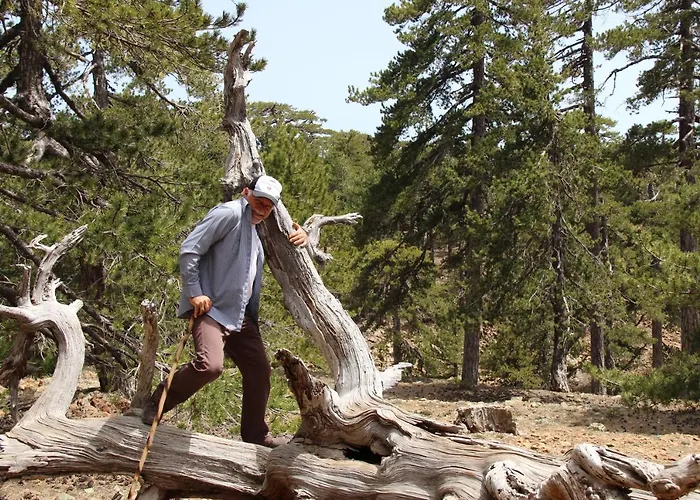 Isminis Petroktisto Holidays Stonehouse